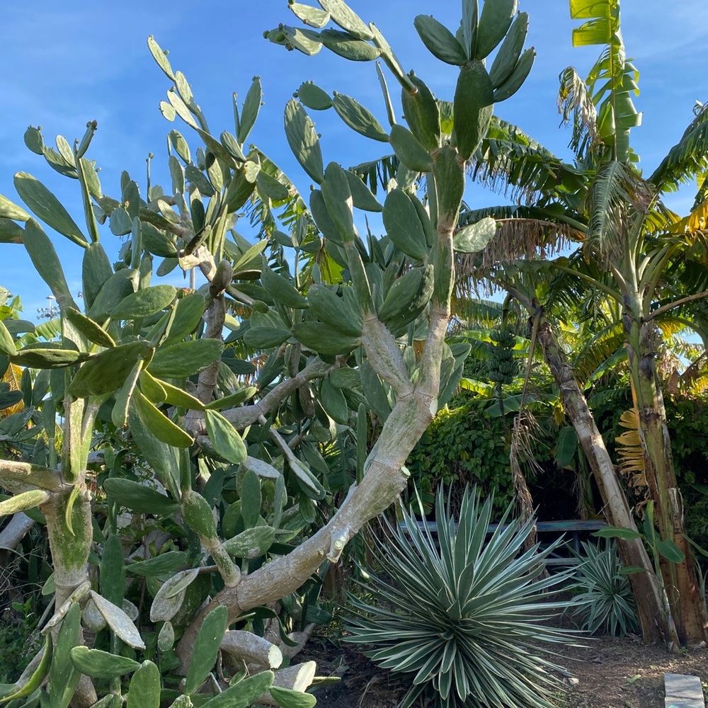 Meet your Posher, Chloe